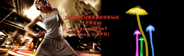 тгк Богородицк