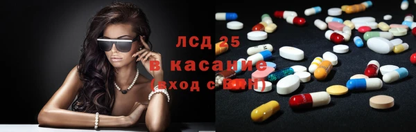 гашик Богданович