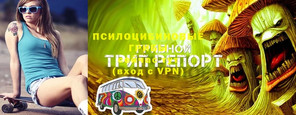 тгк Богородицк