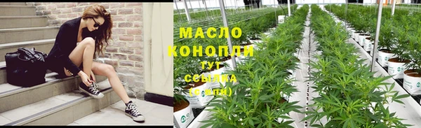 тгк Богородицк