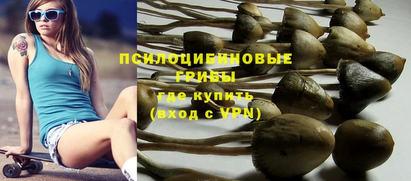 гашик Богданович
