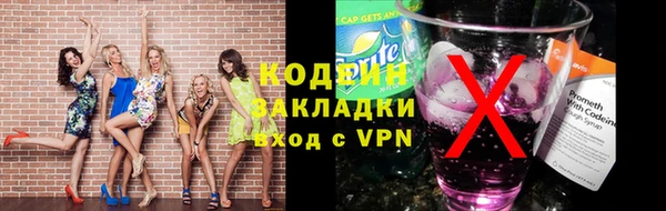 гашик Богданович