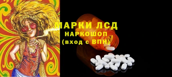 стаф Богородск