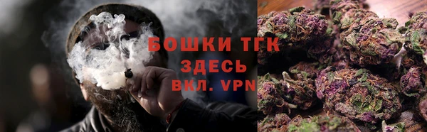 гашик Богданович