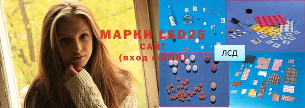гашик Богданович