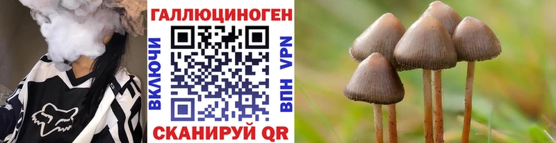 дарк нет Telegram Миасс Галлюциногенные грибы Psilocybine cubensis